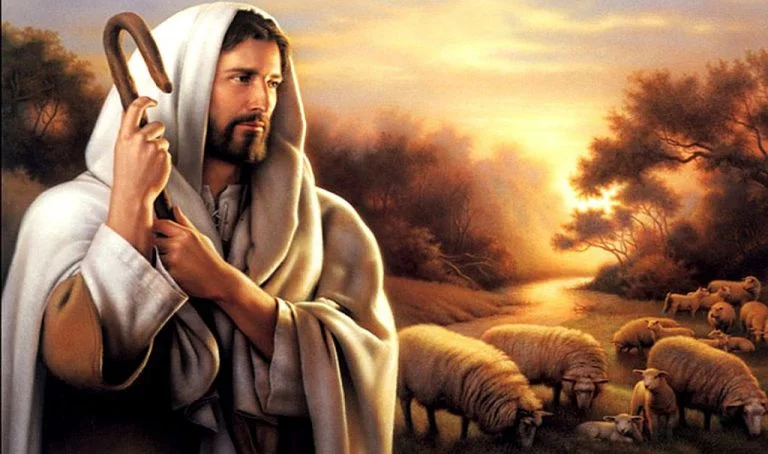 ДУШПАСТИРСЬКІ ОГОЛОШЕННЯ