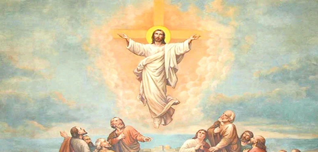 ДУШПАСТИРСЬКІ ОГОЛОШЕННЯ